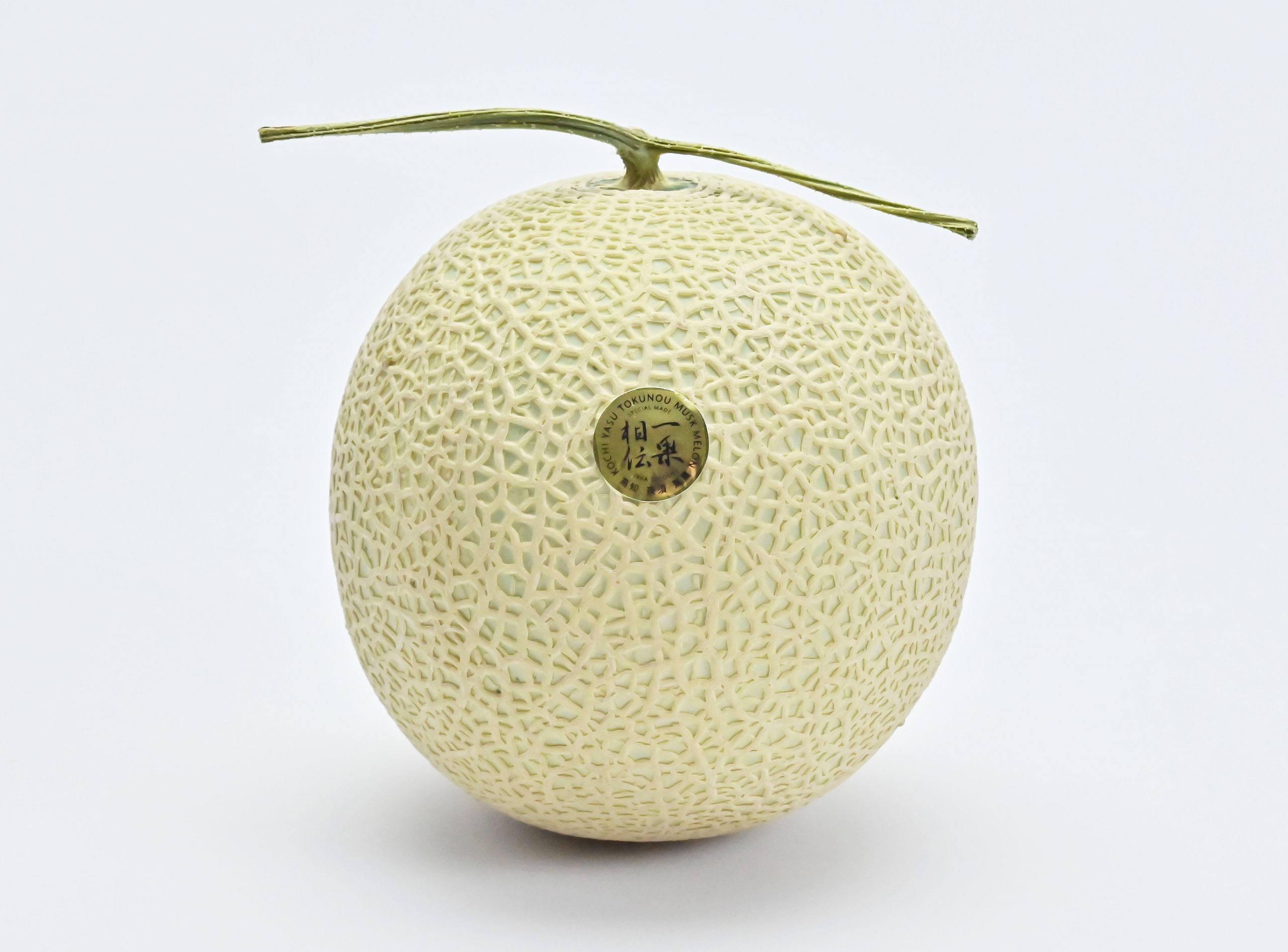 食べ頃編 収穫から2週間のマスクメロン 22年7月11日収穫 Ikkisouden Melog